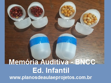 projeto 5 sentidos bncc