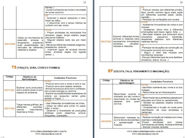 plano anual bncc