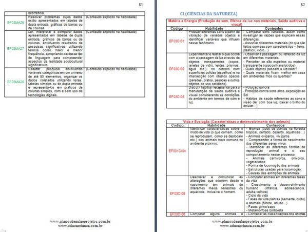 plano anual bncc