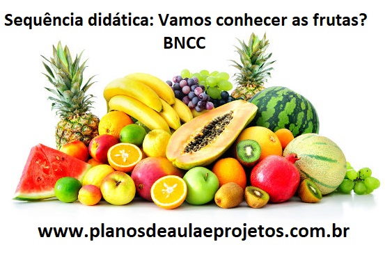 Vamos conhecer as frutas? – BNCC na Educação Infantil