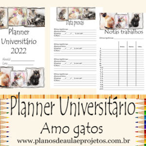 planner universitário
