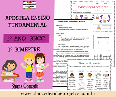 Apostila de alfabetização para o 2º ano do fundamental - Ensino Fundamental  - Aluno On