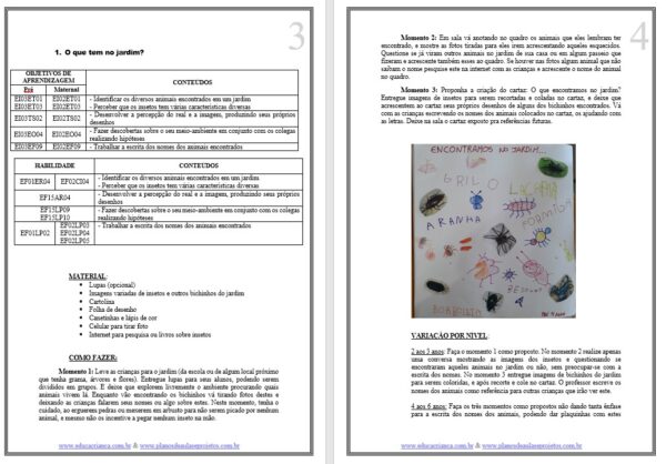 Plano de aula Bichinhos do Jardim: Ed. Infantil e Fundamental - Image 3