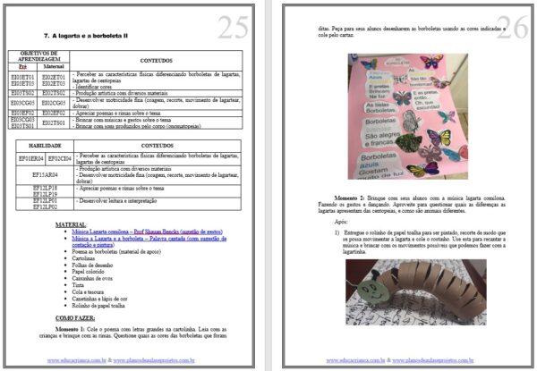 Plano de aula Bichinhos do Jardim: Ed. Infantil e Fundamental - Image 2